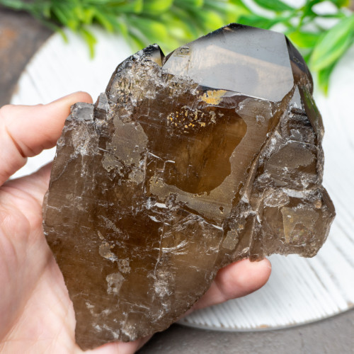 Elestial Smoky Quartz #1
