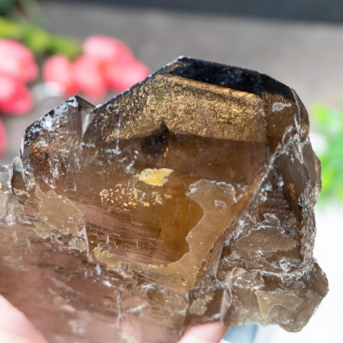 Elestial Smoky Quartz #1
