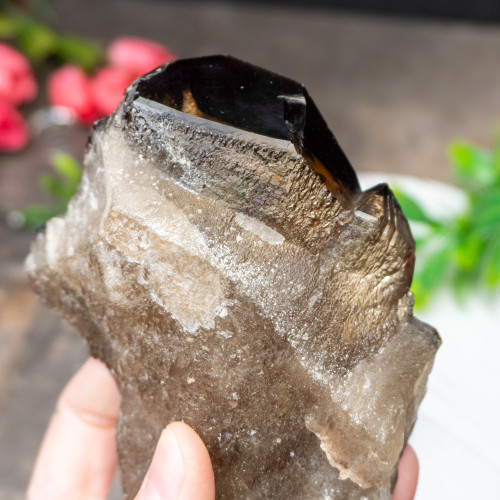 Elestial Smoky Quartz #1