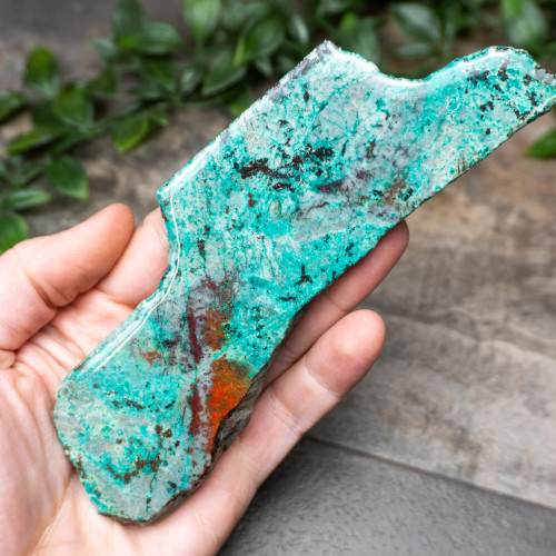 Sonora Sunrise Slab #6