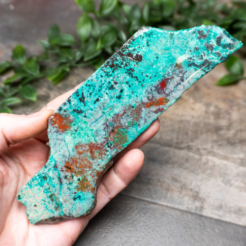 Sonora Sunrise Slab #5