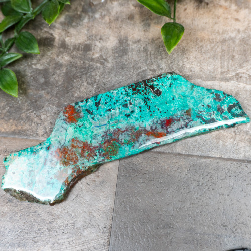 Sonora Sunrise Slab #5