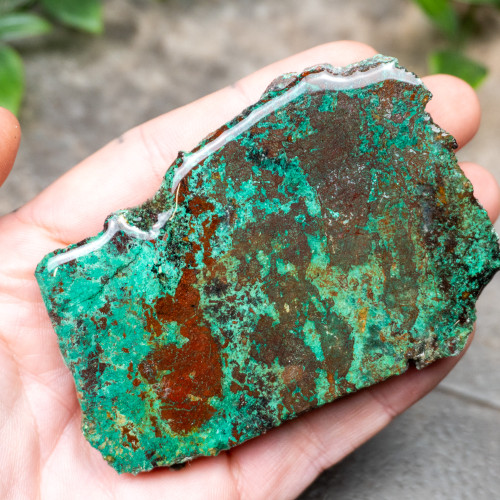 Sonora Sunrise Slab #3