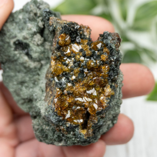 Topazolite on Actinolite #1