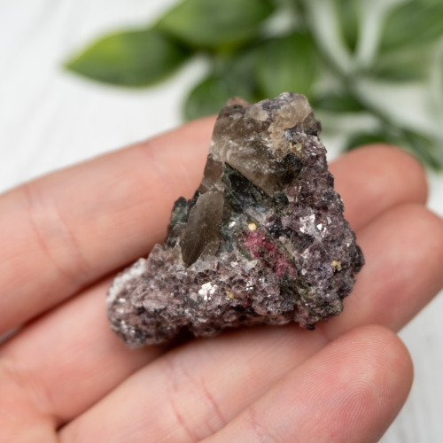 Lepidolite with Watermelon Tourmaline on Smoky Quartz #1