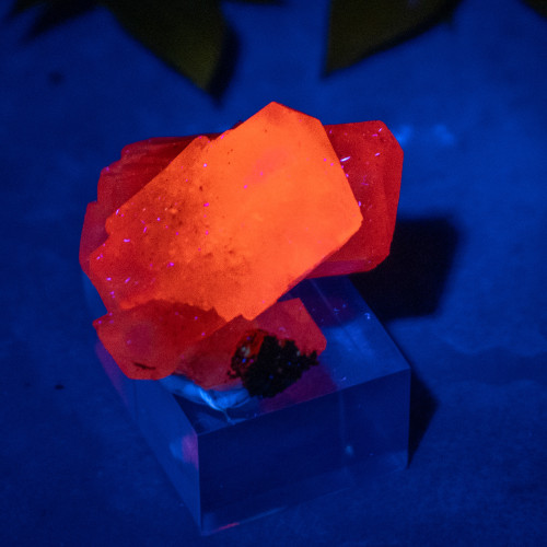 Pyrite & Mangano Calcite (UV Reactive) #5