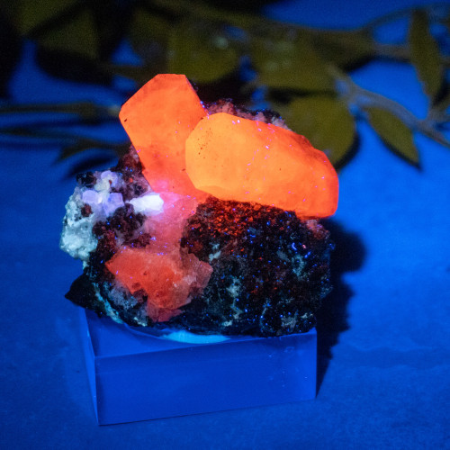 Pyrite & Mangano Calcite (UV Reactive) #6