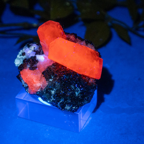 Pyrite & Mangano Calcite (UV Reactive) #6