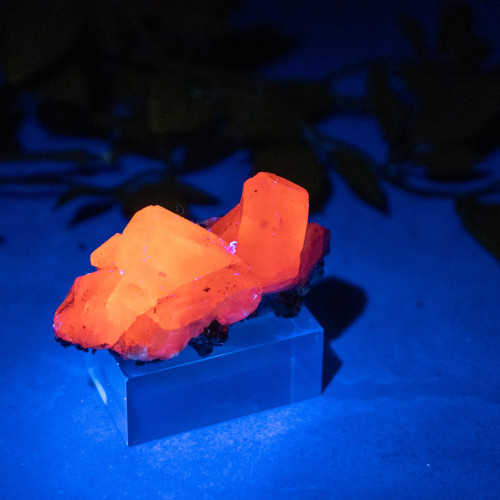 Pyrite & Mangano Calcite (UV Reactive) #4