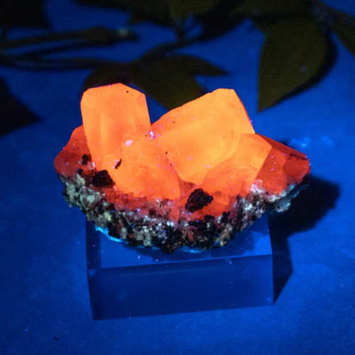 Pyrite & Mangano Calcite (UV Reactive) #4