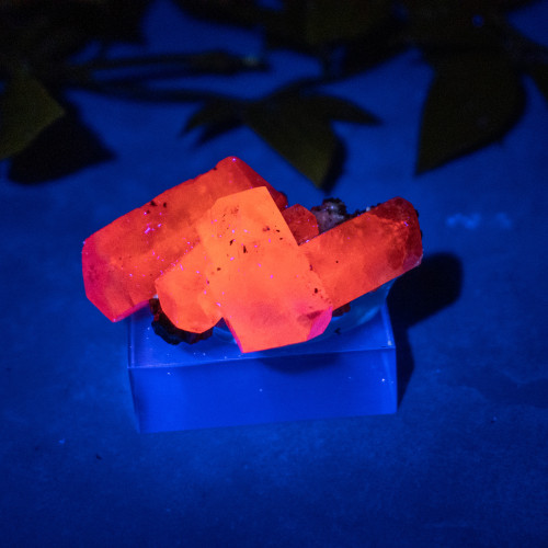 Pyrite & Mangano Calcite (UV Reactive) #3