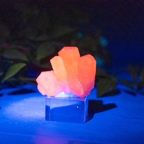 Pyrite & Mangano Calcite (UV Reactive) #1