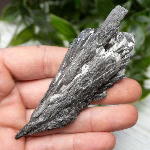 Black Kyanite #18