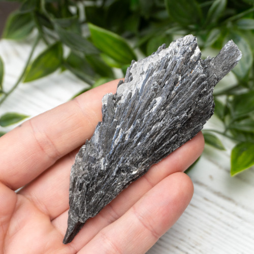 Black Kyanite #18
