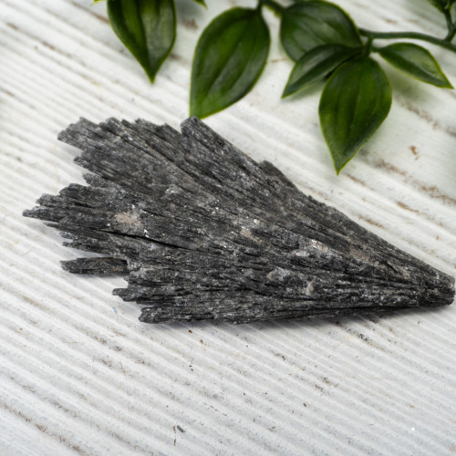 Black Kyanite #17