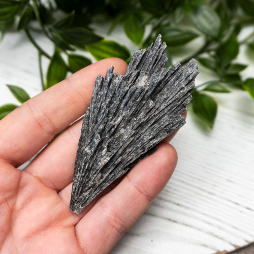 Black Kyanite #17