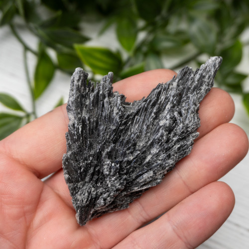 Black Kyanite #14