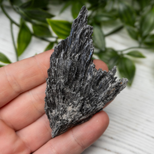 Black Kyanite #14