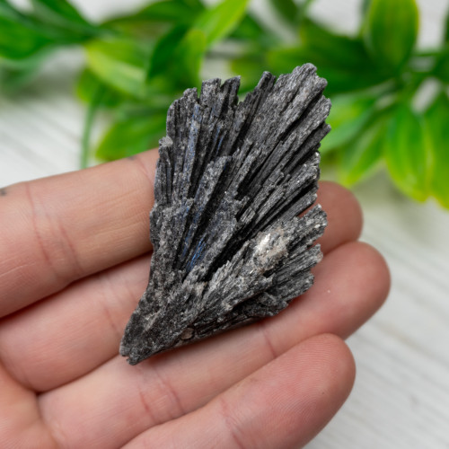 Black Kyanite #12