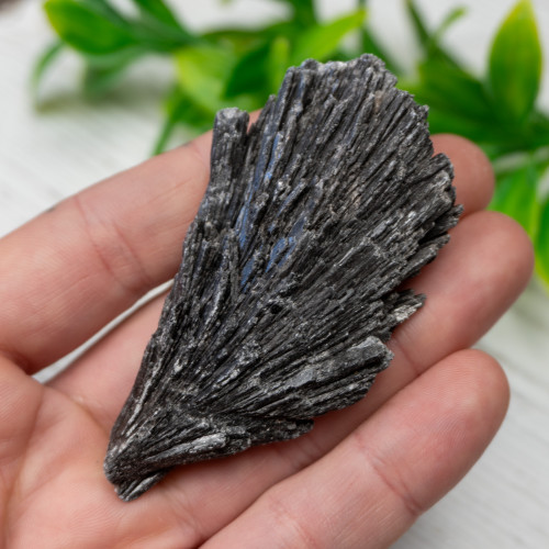 Black Kyanite #11