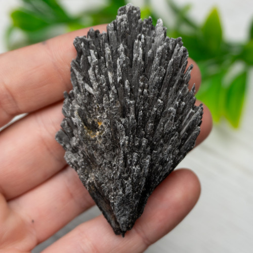 Black Kyanite #9