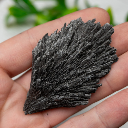 Black Kyanite #9