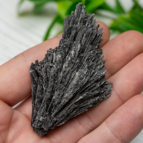 Black Kyanite #8