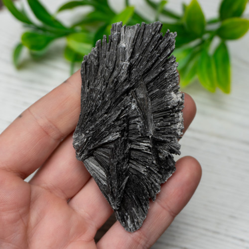Black Kyanite #3