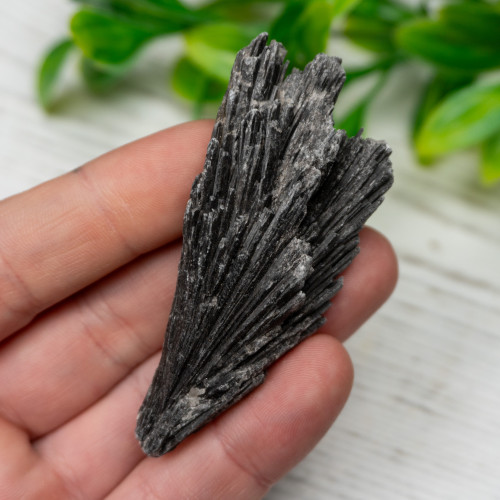 Black Kyanite #2