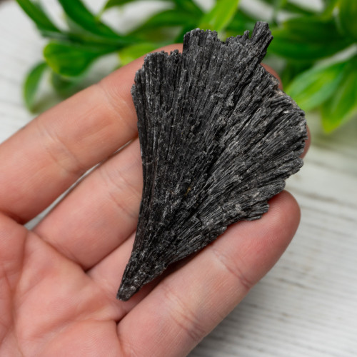 Black Kyanite #1