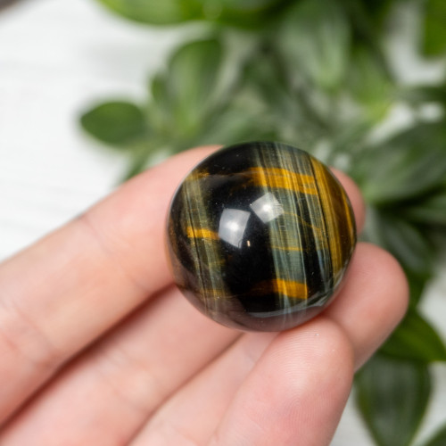Multi Tiger Eye Sphere #5