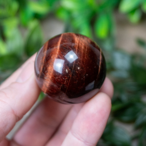 Red Tiger Eye Sphere #9
