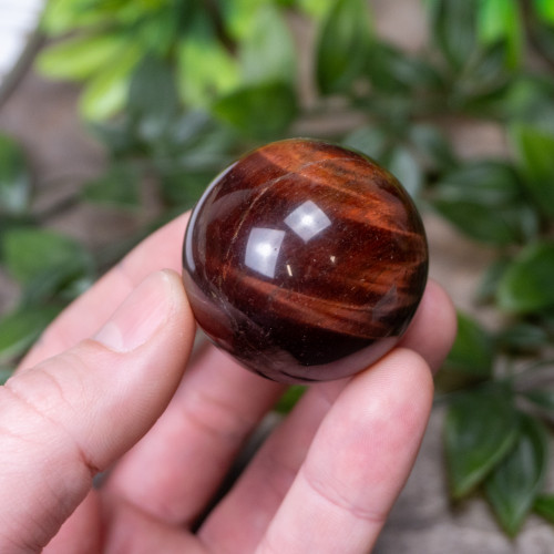 Red Tiger Eye Sphere #8