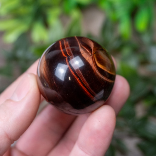 Red Tiger Eye Sphere #5