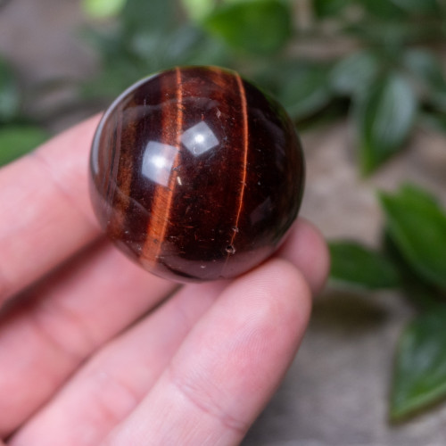 Red Tiger Eye Sphere #4