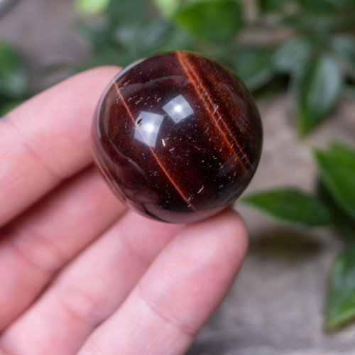 Red Tiger Eye Sphere #4