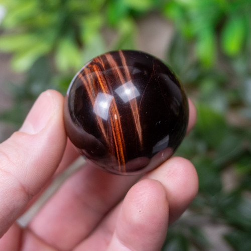 Red Tiger Eye Sphere #5