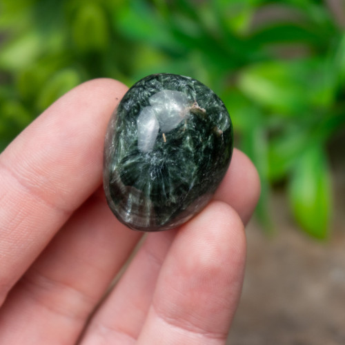 Polished Seraphinite #1