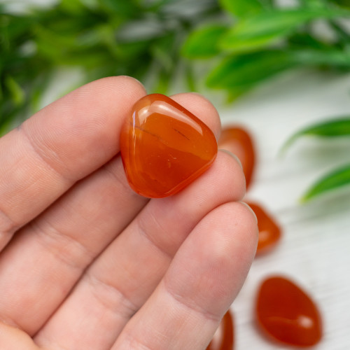 Carnelian Tumbled
