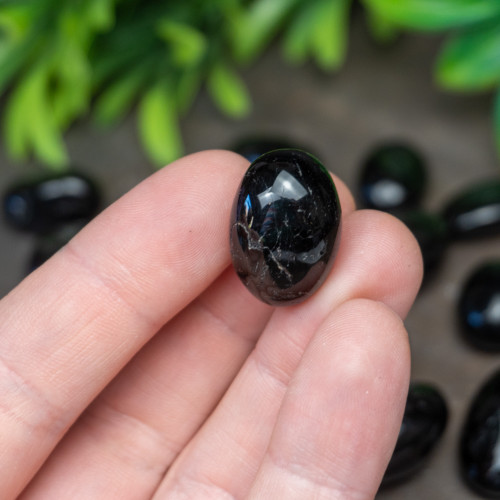 Black Tourmaline Tumbled