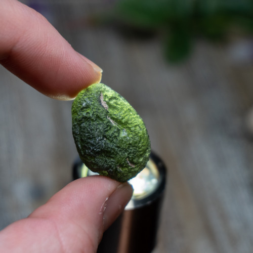 AA Grade Moldavite #19