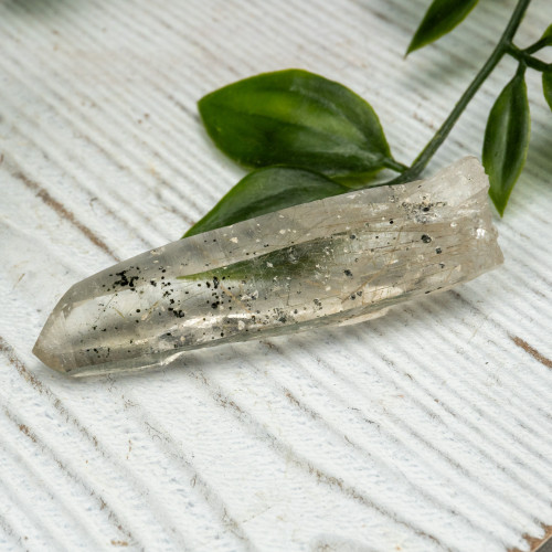 Actinolite in Quartz #8