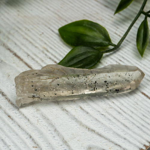 Actinolite in Quartz #8
