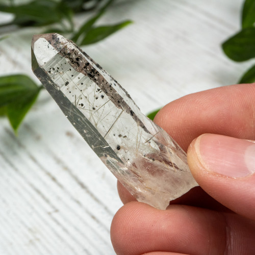 Actinolite in Quartz #7