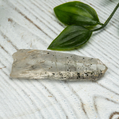 Actinolite in Quartz #7