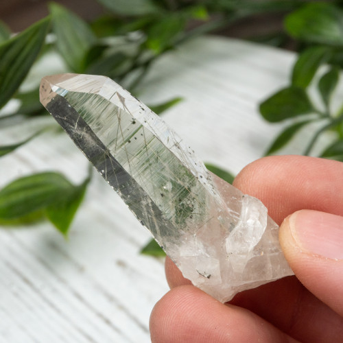 Actinolite in Quartz #6
