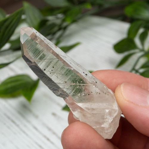 Actinolite in Quartz #6