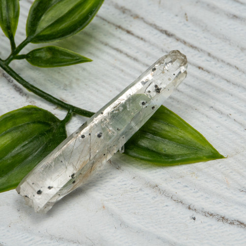 Actinolite in Quartz #4