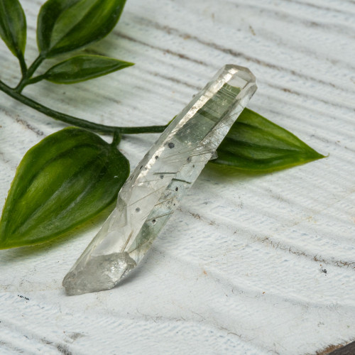 Actinolite in Quartz #3