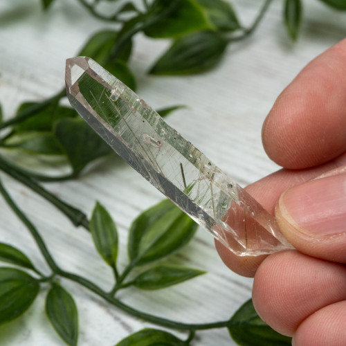 Actinolite in Quartz #3
